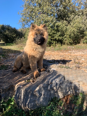 Sioux (Miss Jaune)