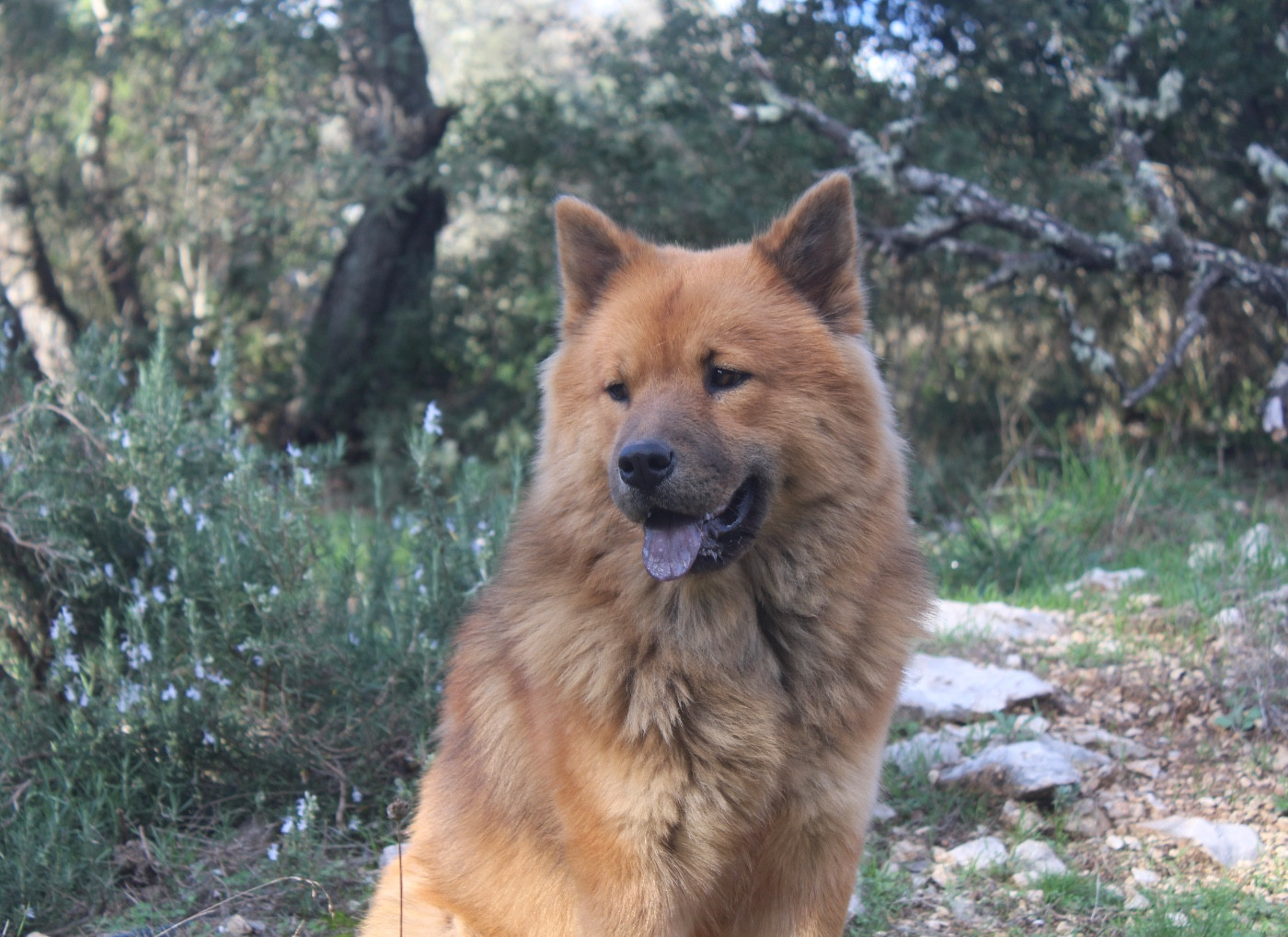 Du Mont Victoire - Panier retraite