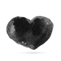 Du Mont Victoire - Chiots disponibles - Eurasier